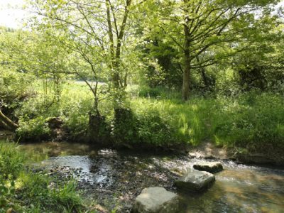 Eaton Manor Country Estate: Eaton brook