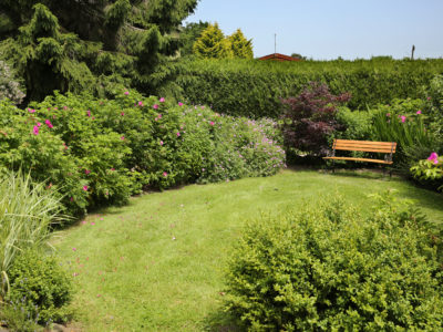 Pheasant Walk: Garden area shared with adjacent apartment