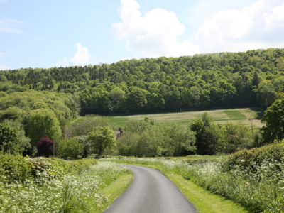 Eaton Manor Country Estate: View down lane approaching the main site