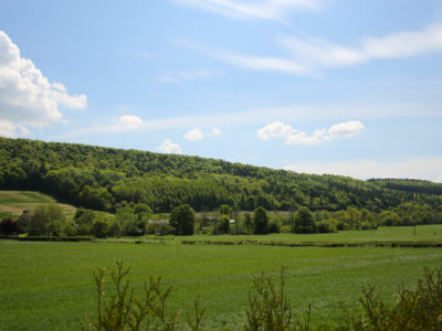 Eaton Manor Country Estate: View from Pendennis towards Wenlock Edge