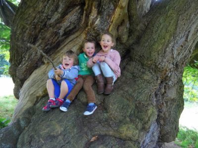 Tree Climbing