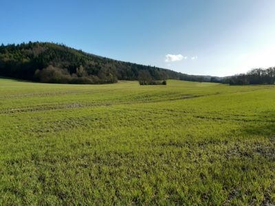 Eaton Manor Country Estate: View on a walk round the estate