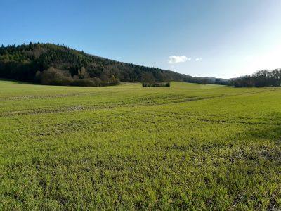Eaton Manor Country Estate: View on a walk round the estate