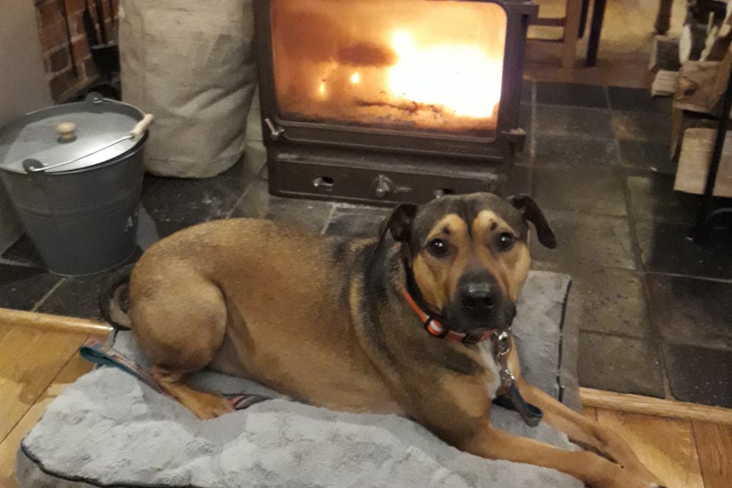 The Ragleth Inn, Little Stretton - Dog-Friendly Pub in Shropshire